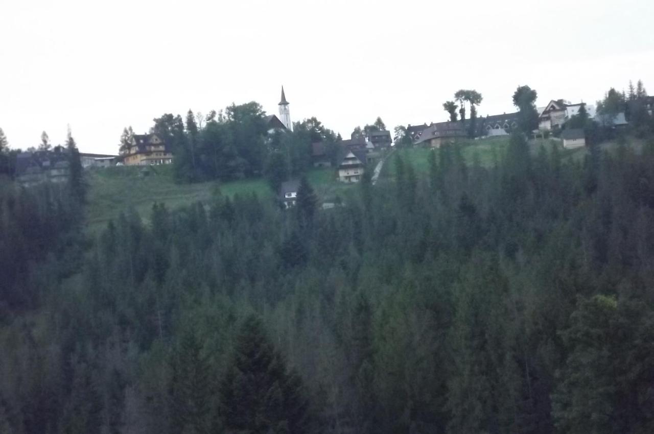 Prymulka Hotell Zakopane Eksteriør bilde